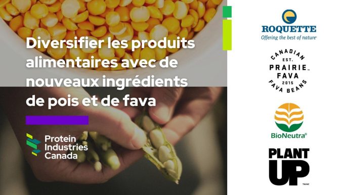 Roquette FR